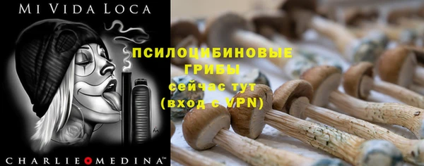 дурь Богородицк