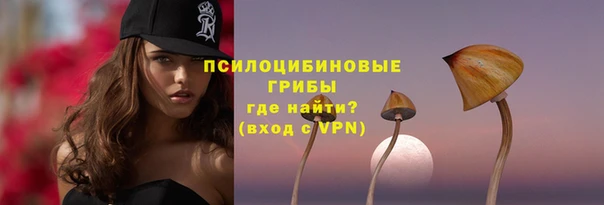 дурь Богородицк