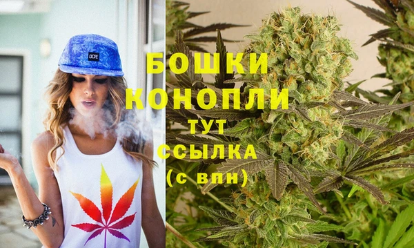 амф Богородск