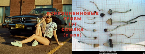 амф Богородск