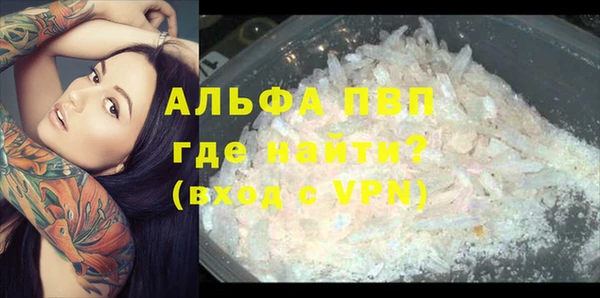 гашик Богданович