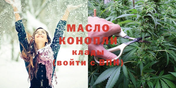 гашик Богданович