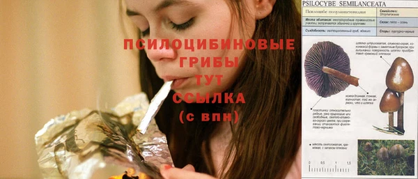 СК Остров