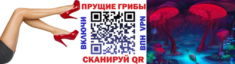 Купить закладки  Бавлы  Псилоцибиновые грибы MAGIC MUSHROOMS 