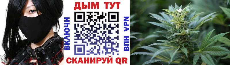 Купить где  Бавлы  МАРИХУАНА SATIVA & INDICA 